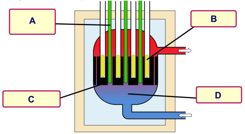 Fig 8.2 — Label the reactor components (A–D)