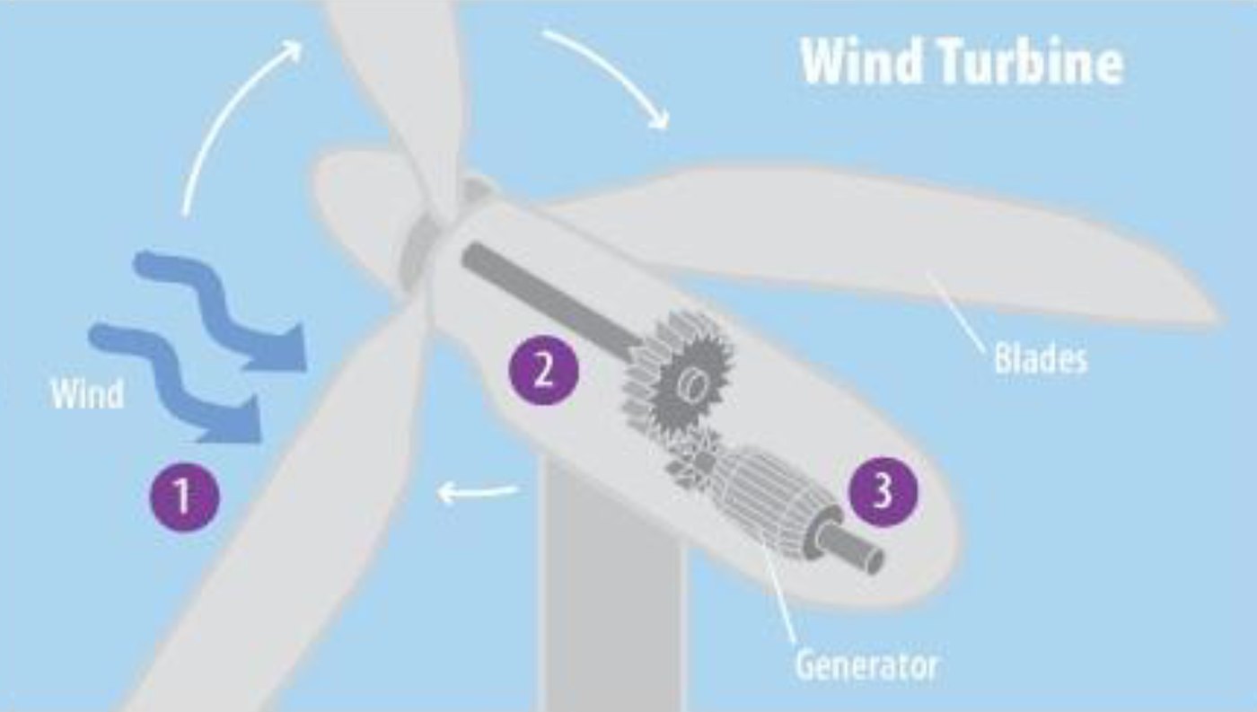 Wind turbine cutaway showing blades, gearbox and generator