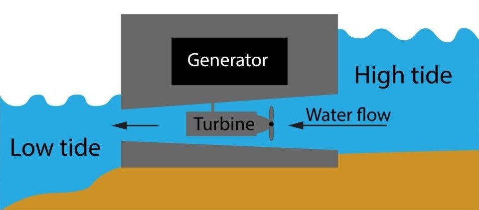 Tidal barrage with turbine between high and low tide water levels