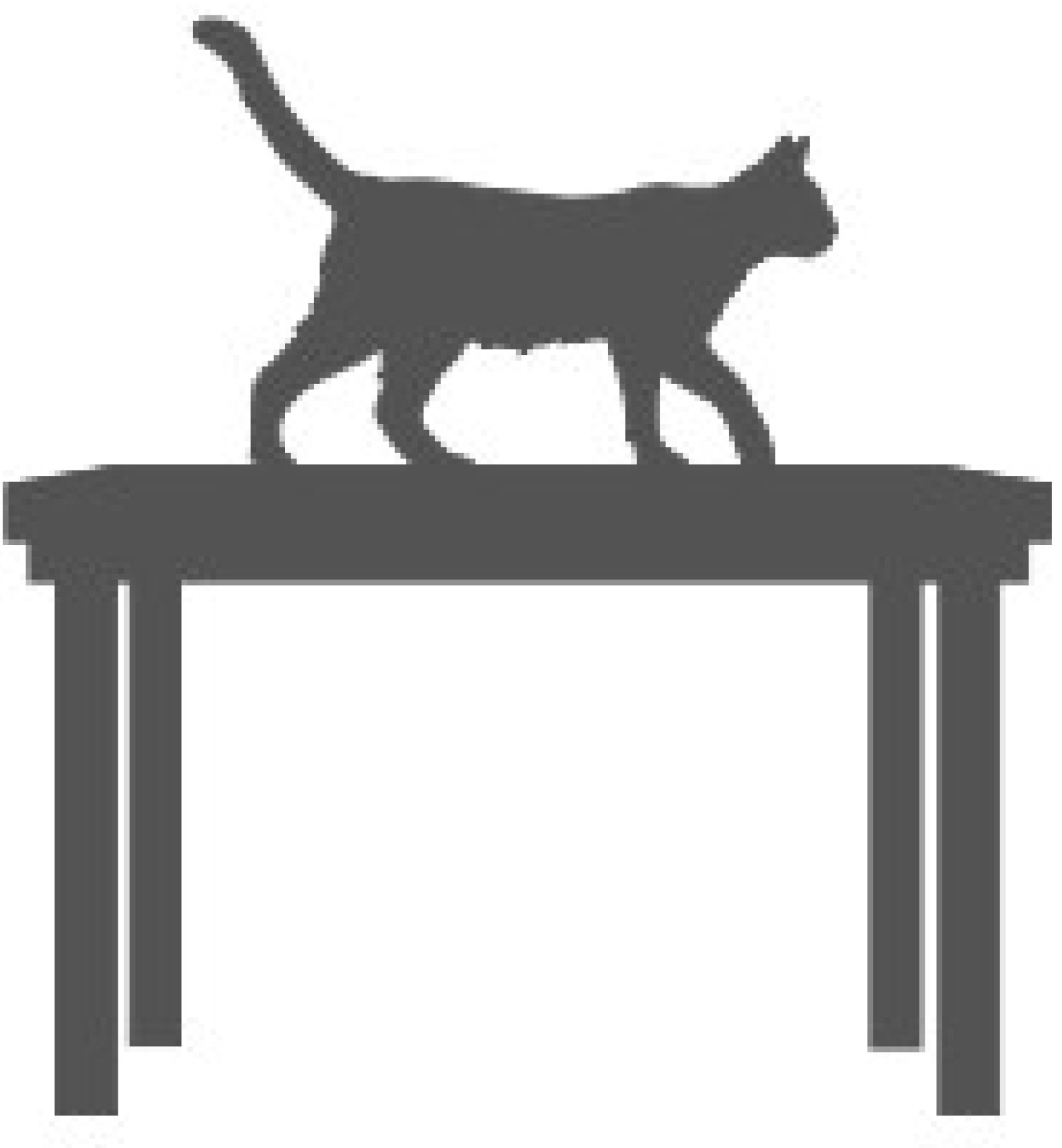 Cat sitting on a table