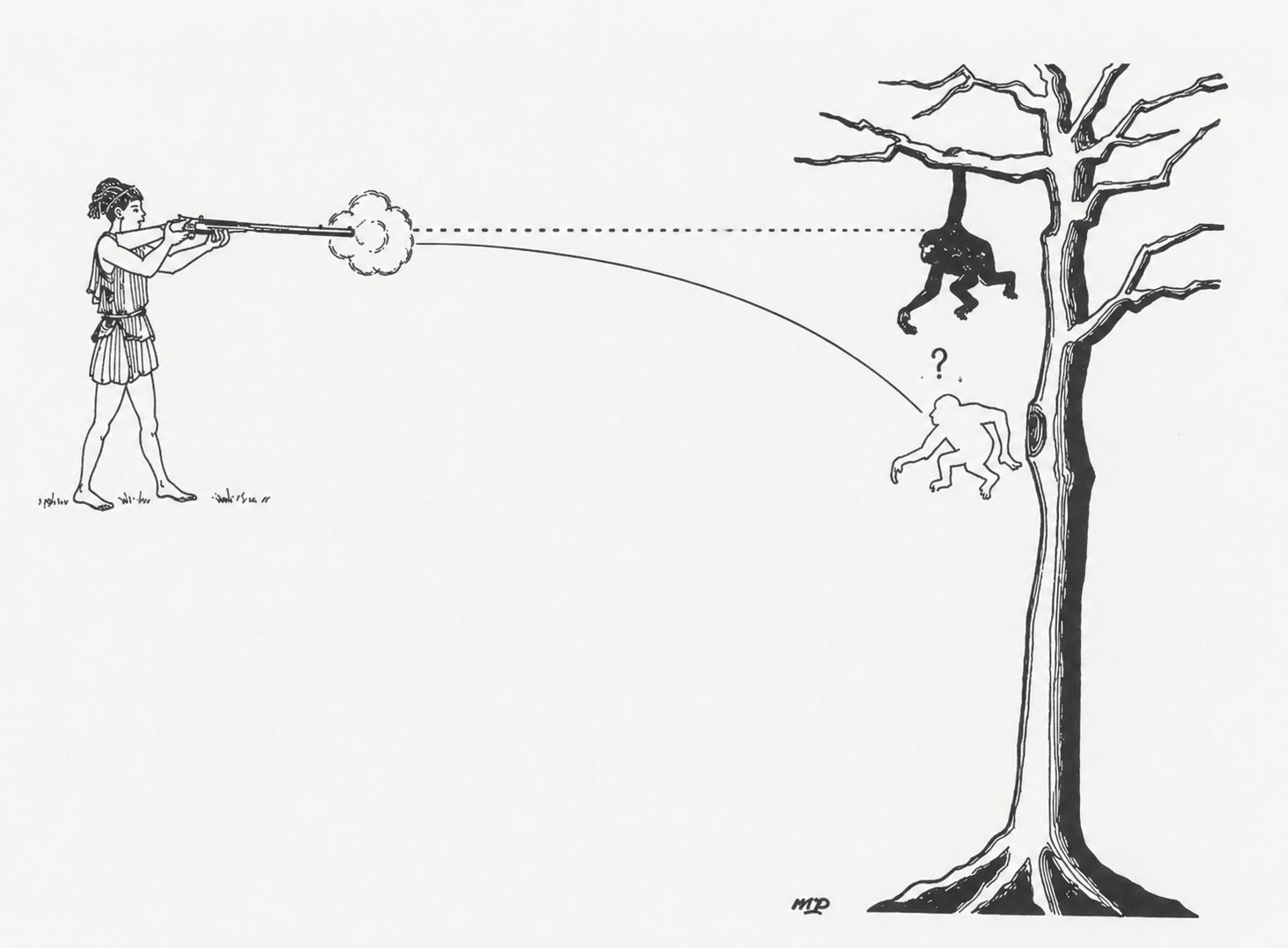 Bullet and monkey falling at the same rate
