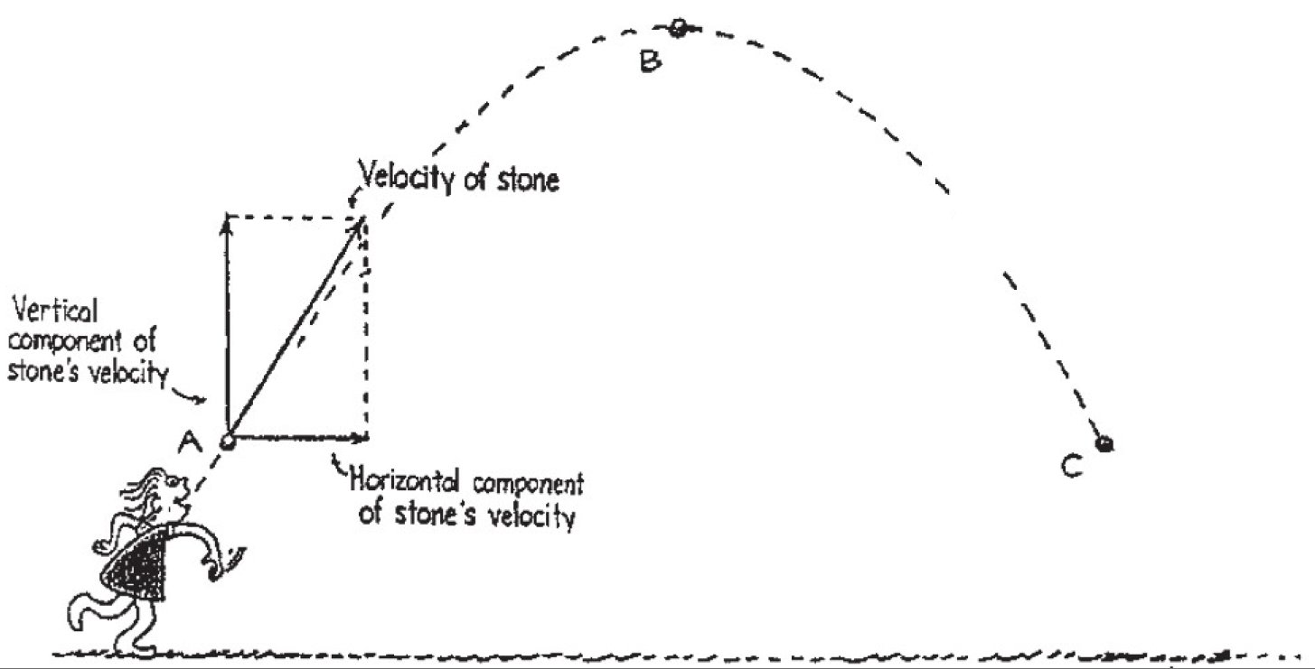 Ug threw a rock — projectile motion diagram